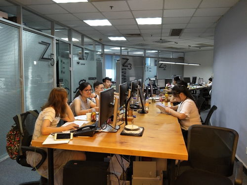 新紀元 輕量化綜合設計服務解決方案——縱意設計軟件開發